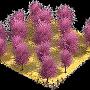 Mandelfeld
